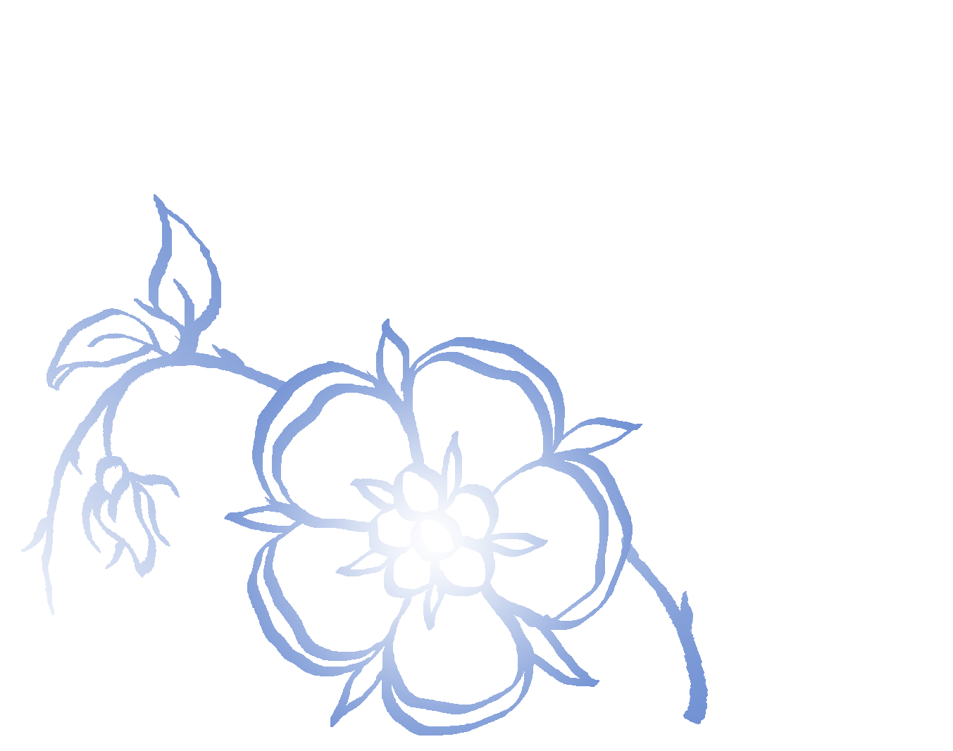 calligraphic rose gradient for home page