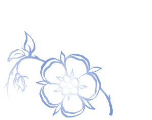 calligraphic rose gradient for home page